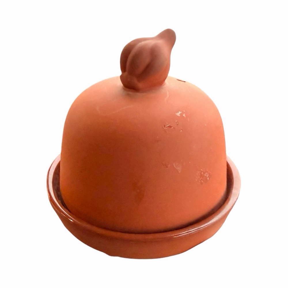 Terra Cotta Garlic Baker by Boston‎ Warehouse